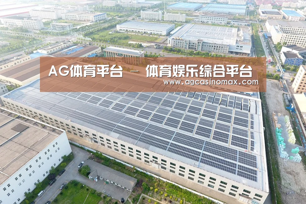 案例展示二