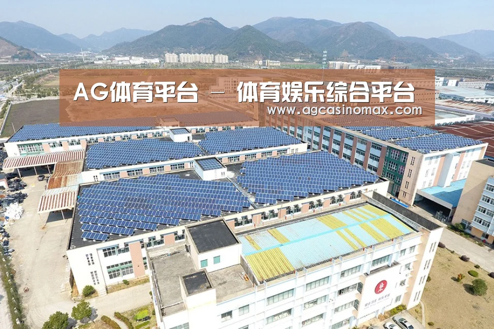 案例展示三