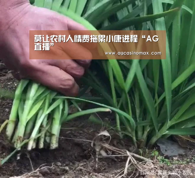 莫让农村人情费拖累小康进程“AG直播”(图2) AG百家乐